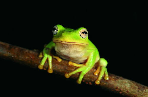 1603784412457858.jpg u=1089874897,1268118658&fm=26&gp=0.jpg